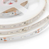 Светодиодная лента Apeyron 12В СТ 4,8Вт/м smd3528, 60д/м IP20 5м желтая 33BL