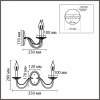 Бра Lumion Classi Incanto 8034/2W