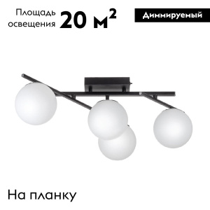 Настенно-потолочный светильник Citilux Dorsy CL223142