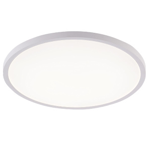 Потолочный светильник Natali Kovaltseva Plain LED LAMPS 81113/5C