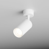 Спот Hesby Lighting Focus HSBL_0090