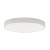 Потолочный светильник Zortes Tortty ZRS.02565.72