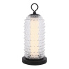 Настольная лампа ST Luce Saguaro SL6144.404.01
