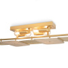 Потолочный светильник Freya Saffle FR5572CL-04G