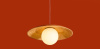 Подвесной светильник Freya Albero FR5589PL-01T
