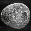 Люстра потолочная Lussole Cullman LSP-8720