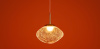 Подвесной светильник Freya Mote FR5601PL-01TR