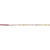 Светодиодная лента Wolta WLS2835-10W/4000/24H120-03