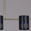 Потолочная люстра Reluce 06675-0.3-05 GD+BK GX53