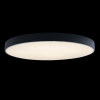 Потолочный светильник Loft IT AXEL 10002/48 Black
