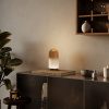 Настольная лампа Maytoni Fable MOD488TL-L8BS3K