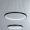 Подвесной светильник Arte Lamp Frodo A2197SP-2BK