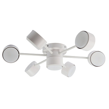 Потолочный светильник Feron AL269  53101