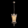 Уличный подвесной светильник Loft IT Tremezzo 100019P WBG