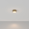 Потолочный светильник Maytoni Technical Ceiling&Wall Zon C032CL-12W3K-RD-MG