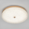 Потолочный светильник LED4U L1116-500 GD
