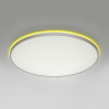 Потолочный светильник Citilux Norma LED RGB CL749600