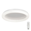 Потолочная люстра Vitaluce V2539DT-0/1PL