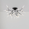 Потолочный светильник Freya Iris FR5067CL-27B