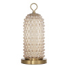 Настольная лампа ST Luce Saguaro SL6144.304.01