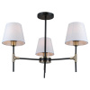Люстра на штанге Illumico IL0185-3CSQ-24 BK AB CASTOR