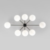 Потолочная люстра Eurosvet Opaline 70220/8 черный Smart a065767