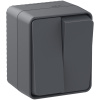 Выключатель 2-клавишный Systeme Electric AtlasDesign Profi54 Наруж Антрацит ATN544051