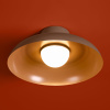 Потолочный светильник Freya Movement FR5602CL-L10BR