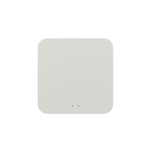 Конвертер WiFi-Zigbee/BLE для умного дома Denkirs Zigbee Control DK7402-WF