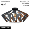 Потолочная люстра EGLO 43399