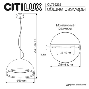 Подвесной светильник Citilux Floom CL736252