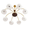 Люстра на штанге Lumion Moderni Larina 8323/8C