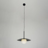 Подвесной светильник Zortes Lumi ZRS.2436.40