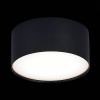 Потолочный светильник ST Luce Functional ST606.442.12