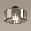 Потолочный светильник Odeon Light BINGA 4746/1C