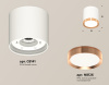 Потолочный светильник Ambrella Light Techno Spot XS8141005 (C8141, N8126)