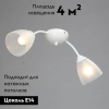 Потолочная люстра Vitaluce V3737-0/2PL