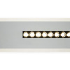 Потолочный светильник Freya Shine FR6105CL-L40W