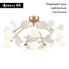 Потолочная люстра F-Promo Bliss 2771-8P