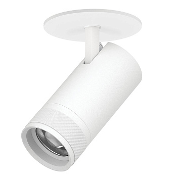 Встраиваемый светильник 20-55G с адаптером Lightstar Canno Pro C4306RS
