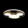 Потолочный светильник Loft IT Mike 10168