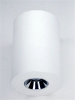 Накладной светильник Elvan NLS-210067-4.2W-WW-WhCh