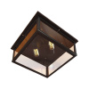 Потолочный светильник LOFT IT Modern filament Loft3110-2C