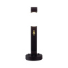 Ландшафтный светильник Odeon Light Nature Luma 5434/1F