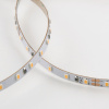 Светодиодная лента Elektrostandard 24V 8W 120Led 2116 IP20 тёплый белый 5м 4690389176623