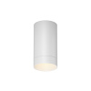 Уличный потолочный светильник Maytoni Luxe O500CL-L5W3K