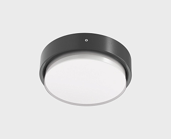 Уличный потолочный светильник Italline IT6026