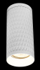 Потолочный светильник Maytoni Alfa C036CL-01W
