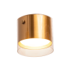 Накладной светильник Wolta Oro WSL-GX53/07G
