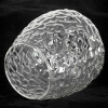 Люстра потолочная Lussole Cullman LSP-8720